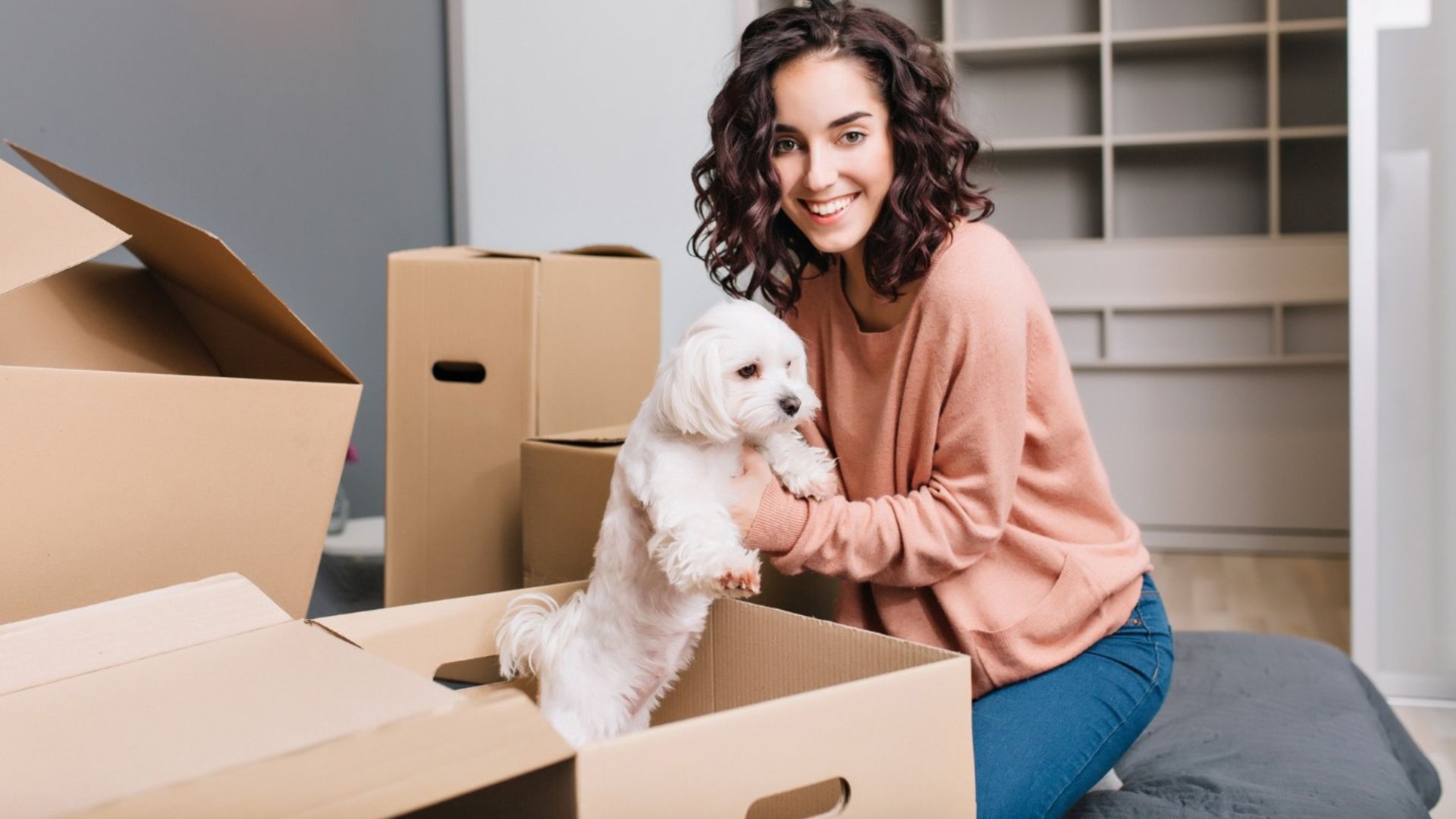 pet relocation services